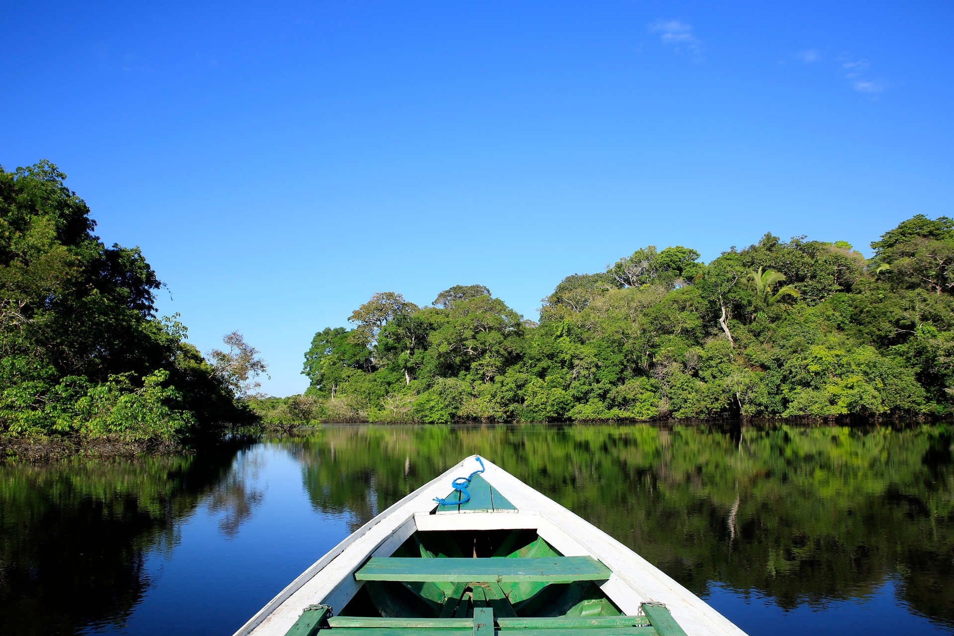 Amazon Excursion